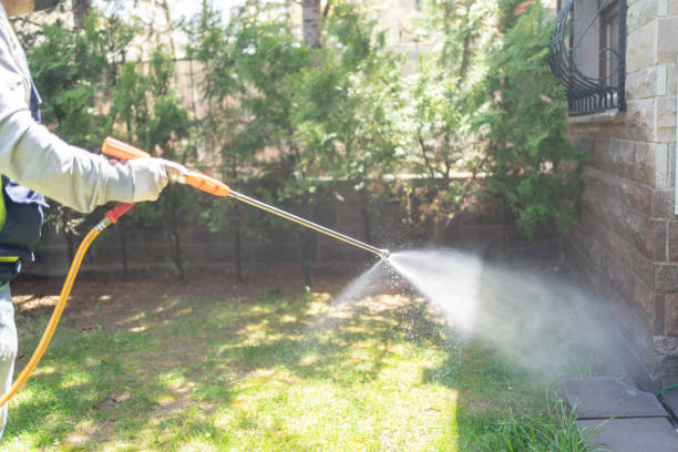 Seasonal Pest Control (e.g., summer mosquitoes, winter rodents) in Cambridge, MA